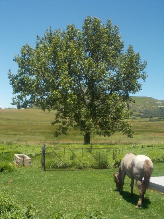 Forellenhof Guest Farm Wakkerstroom Exterior photo
